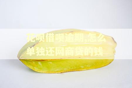 花呗借呗逾期,怎么单独还网商贷的钱