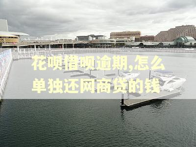 花呗借呗逾期,怎么单独还网商贷的钱
