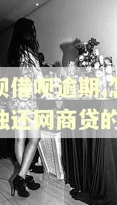 花呗借呗逾期,怎么单独还网商贷的钱