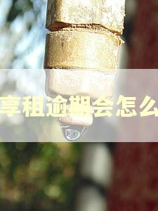 骑享租逾期会怎么样