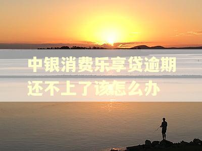 中银消费乐享贷逾期还不上了该怎么办