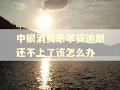 中银消费乐享贷逾期还不上了该怎么办 中银消费乐享贷逾期还不上了该怎么办