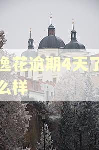 安逸花逾期4天了会怎么样