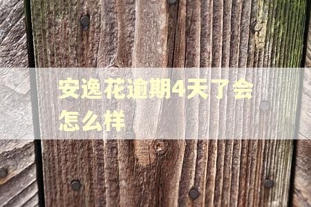 安逸花逾期4天了会怎么样
