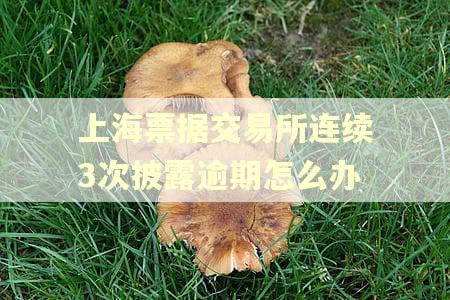 上海票据交易所连续3次披露逾期怎么办