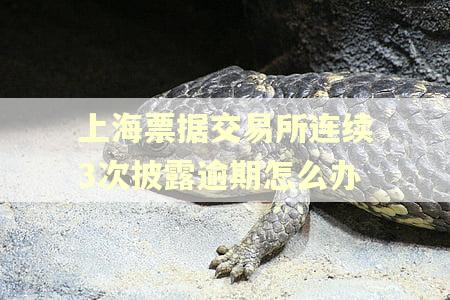 上海票据交易所连续3次披露逾期怎么办