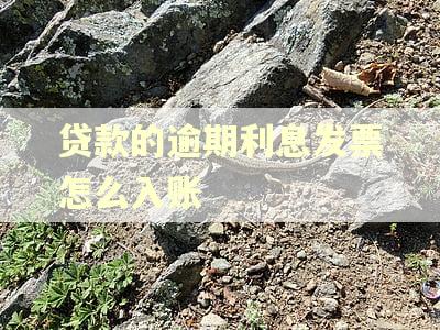 贷款的逾期利息发票怎么入账 贷款的逾期利息发票怎么入账