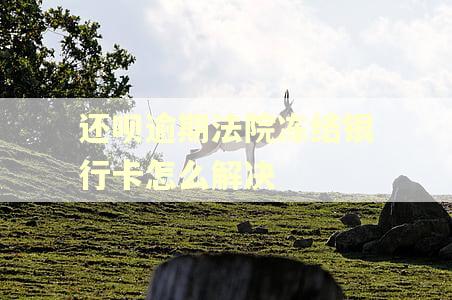 还呗逾期法院冻结银行卡怎么解决