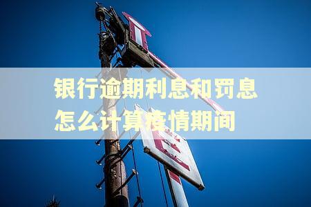 银行逾期利息和罚息怎么计算疫情期间