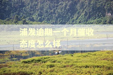 浦发逾期一个月催收态度怎么样