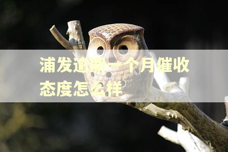 浦发逾期一个月催收态度怎么样