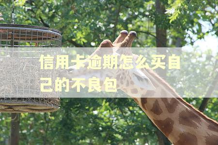 信用卡逾期怎么买自己的不良包