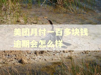 美团月付一百多块钱逾期会怎么样