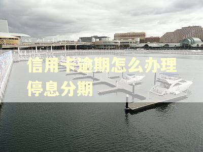 信用卡逾期怎么办理停息分期