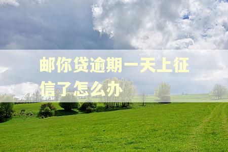 邮你贷逾期一天上征信了怎么办