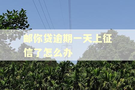 邮你贷逾期一天上征信了怎么办