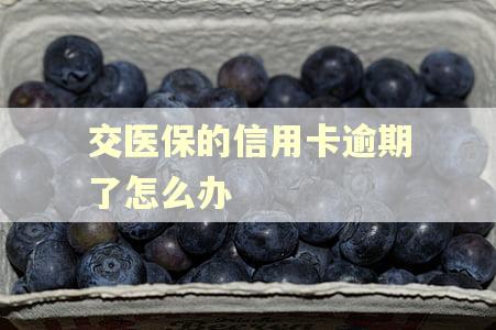 交医保的信用卡逾期了怎么办