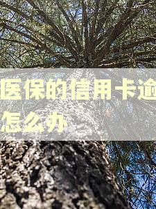 交医保的信用卡逾期了怎么办