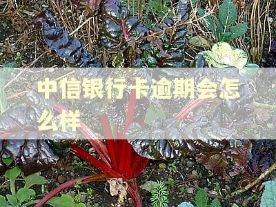 中信银行卡逾期会怎么样