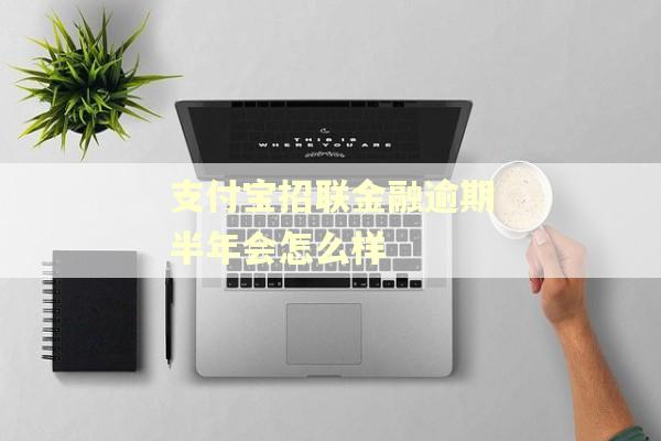 支付宝招联金融逾期半年会怎么样