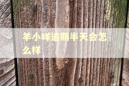 羊小咩逾期半天会怎么样