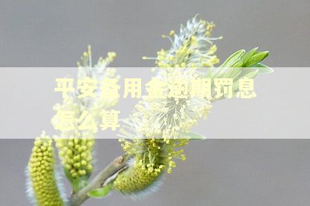 平安备用金逾期罚息怎么算