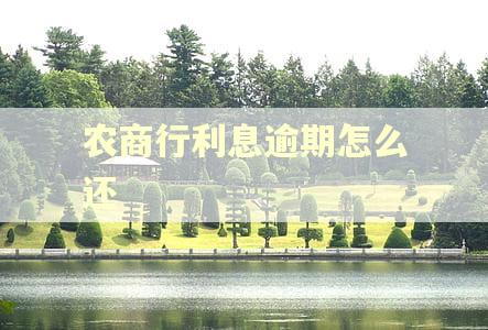 农商行利息逾期怎么还 农商行利息逾期怎么还