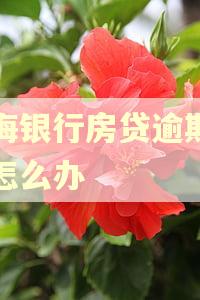渤海银行房贷逾期一天怎么办