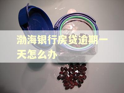 渤海银行房贷逾期一天怎么办 渤海银行房贷逾期一天怎么办