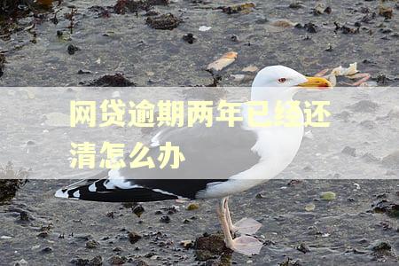 网贷逾期两年已经还清怎么办