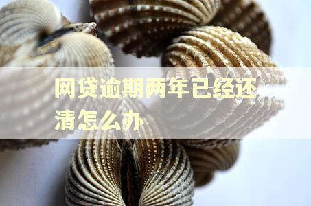 网贷逾期两年已经还清怎么办