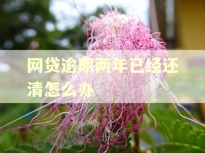 网贷逾期两年已经还清怎么办 网贷逾期两年已经还清怎么办
