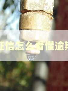 征信怎么看懂逾期
