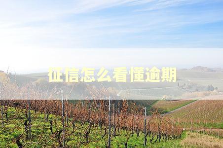 征信怎么看懂逾期