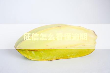 征信怎么看懂逾期