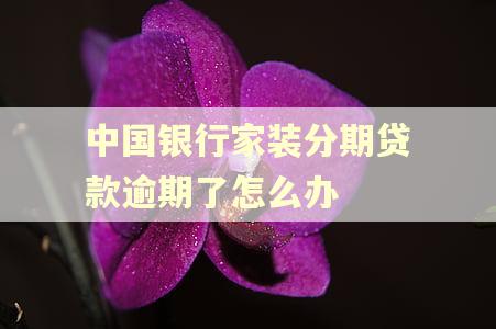 中国银行家装分期贷款逾期了怎么办