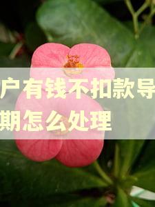 账户有钱不扣款导致逾期怎么处理