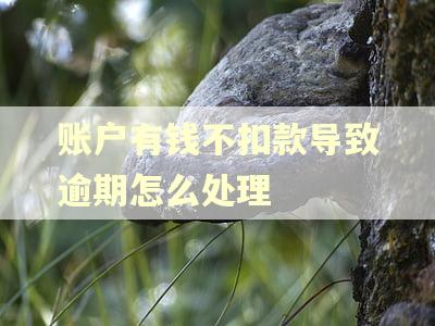 账户有钱不扣款导致逾期怎么处理