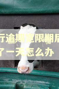 招行逾期宽限期后晚还了一天怎么办