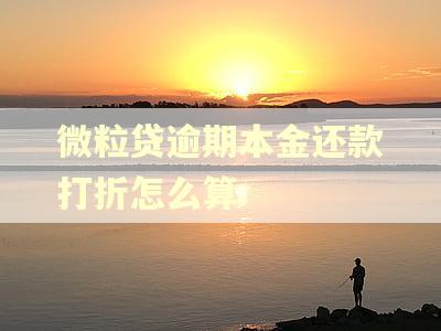 微粒贷逾期本金还款打折怎么算