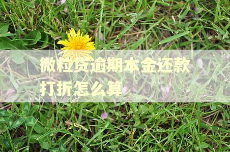 微粒贷逾期本金还款打折怎么算