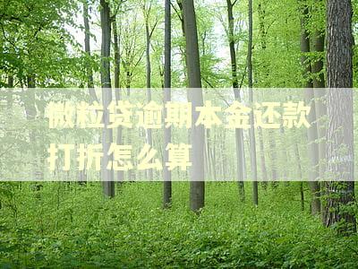 微粒贷逾期本金还款打折怎么算