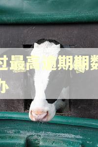 超过最高逾期期数怎么办