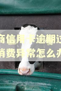 招商信用卡逾期过显示消费异常怎么办