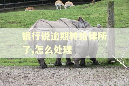 银行说逾期转给律所了,怎么处理 银行说逾期转给律所了,怎么处理