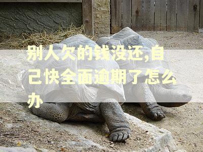 别人欠的钱没还,自己快全面逾期了怎么办
