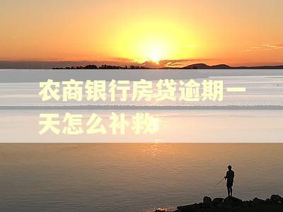 农商银行房贷逾期一天怎么补救