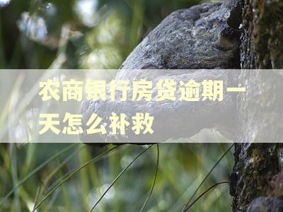 农商银行房贷逾期一天怎么补救