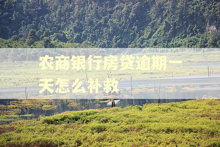农商银行房贷逾期一天怎么补救