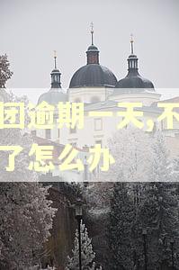 美团逾期一天,不让借了怎么办